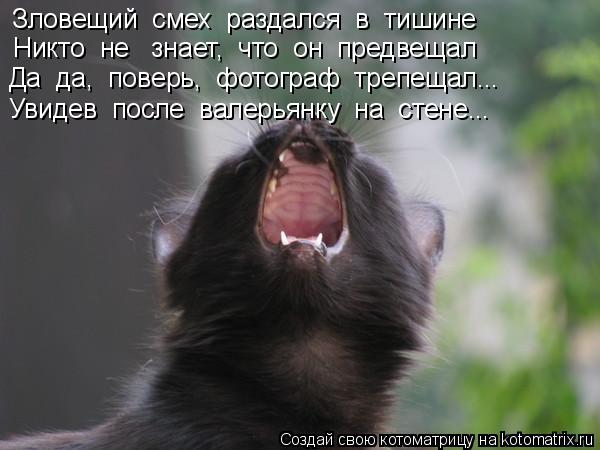 Зловещий смех раздался в тишине Никто не знает, что он предвещал Да да, поверь, фотограф... Котоматрица: Зловещий смех раздался в тишине Никто не знает, что он предвещал Да да, поверь, фотограф трепещал... Увидев после валерьянку на сте
