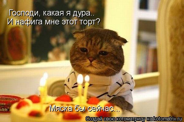 Господи, какая я дура.. И нафига мне этот торт? Мяска бы сейчас...... Котоматрица: Господи, какая я дура.. И нафига мне этот торт? Мяска бы сейчас...