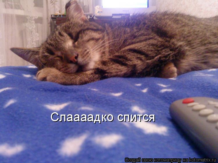 Слаааадко спится... Котоматрица: Слаааадко спится
