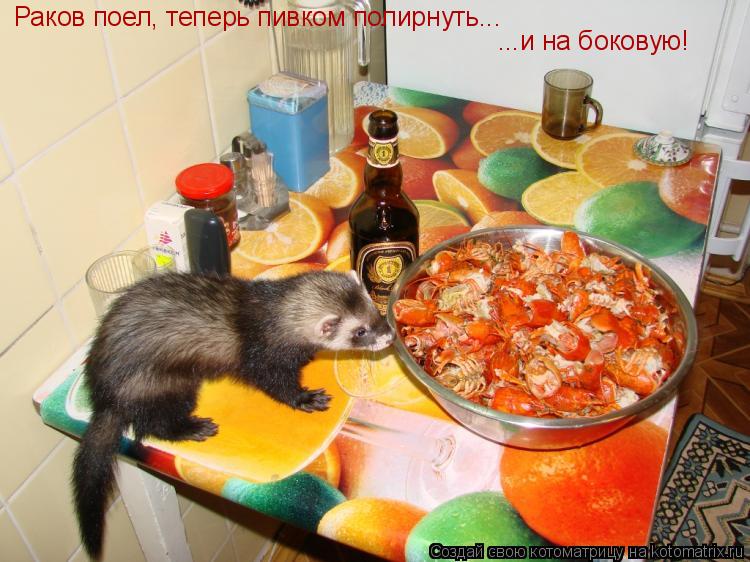Раков поел, теперь пивком полирнуть... ...и на боковую!... Котоматрица: Раков поел, теперь пивком полирнуть... ...и на боковую!