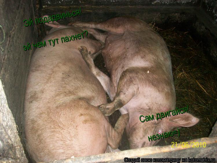 Эй подадвинься! Сам двигайся! эй чем тут пахнет? незнаю=) Сам двигайся!... Котоматрица: Эй подадвинься! Сам двигайся! эй чем тут пахнет? незнаю=) Сам двигайся!