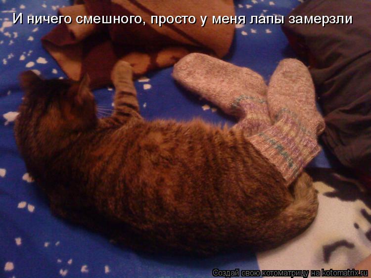 И ничего смешного, просто у меня лапы замерзли... Котоматрица: И ничего смешного, просто у меня лапы замерзли