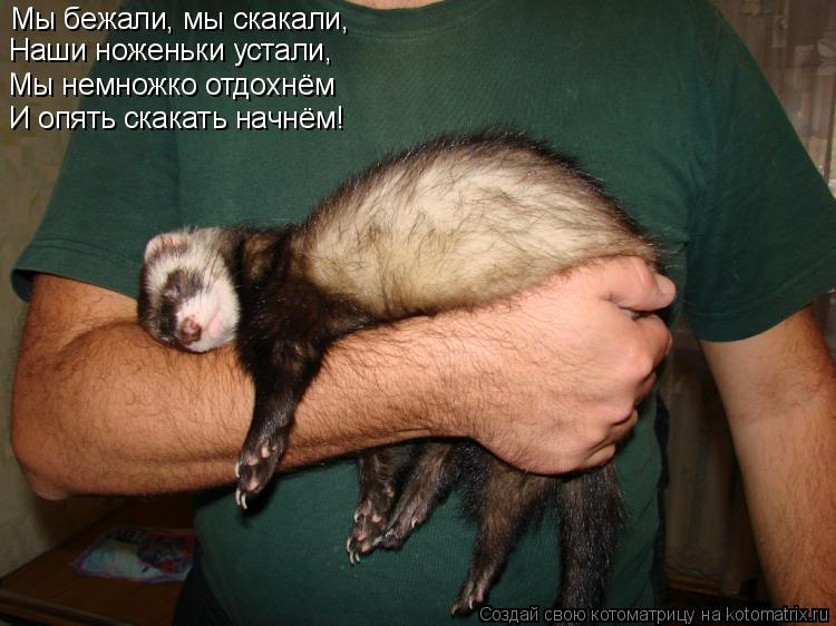 Мы бежали, мы скакали, Наши ноженьки устали, Мы немножко отдохнём И опять скакать начнём!... Котоматрица: Мы бежали, мы скакали, Наши ноженьки устали, Мы немножко отдохнём И опять скакать начнём!