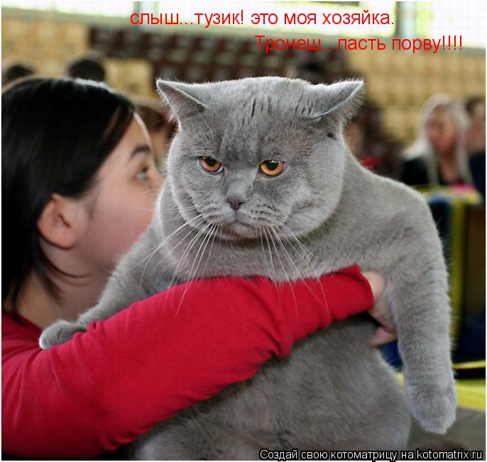 слыш...тузик! это моя хозяйка. Тронеш., пасть порву!!!!... Котоматрица: слыш...тузик! это моя хозяйка. Тронеш., пасть порву!!!!