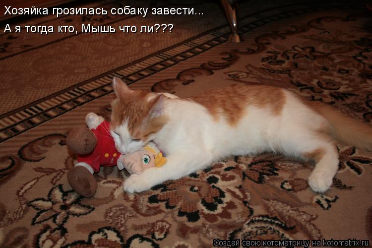 Хозяйка грозилась собаку завести... А я тогда кто, Мышь что ли???... Котоматрица: Хозяйка грозилась собаку завести... А я тогда кто, Мышь что ли???