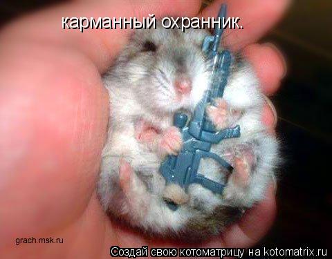 карманный охранник.... Котоматрица: карманный охранник.