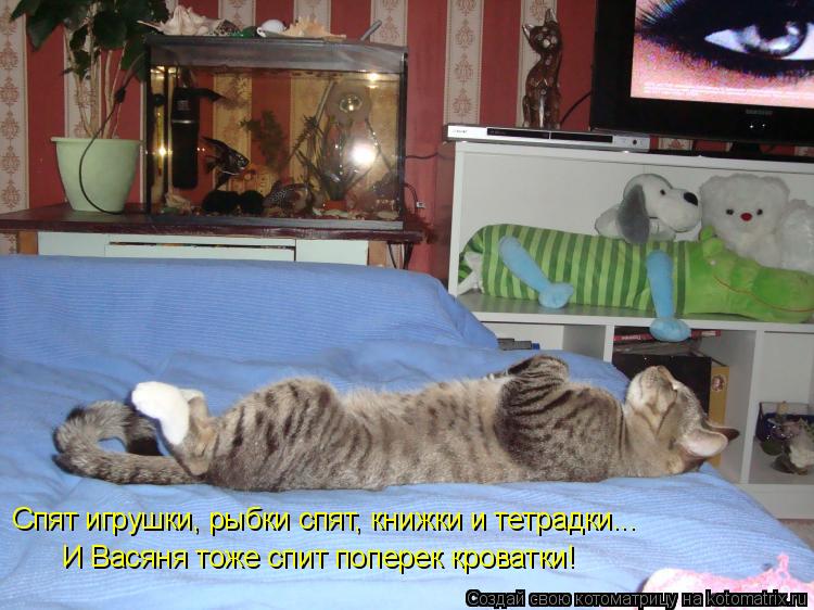 И Васяня тоже спит поперек кроватки! Спят игрушки, рыбки спят, книжки и тетрадки...... Котоматрица: И Васяня тоже спит поперек кроватки! Спят игрушки, рыбки спят, книжки и тетрадки...