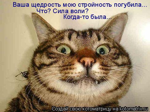 Ваша щедрость мою стройность погубила... Что? Сила воли? Когда-то была...... Котоматрица: Ваша щедрость мою стройность погубила... Что? Сила воли? Когда-то была...