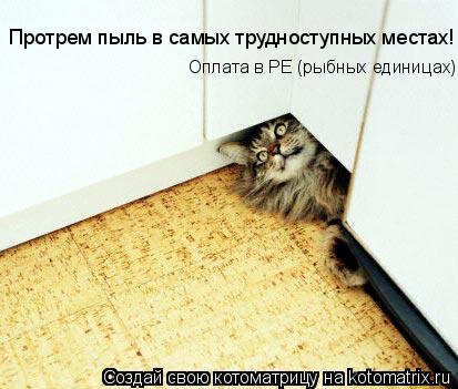 Протрем пыль в самых трудноступных местах! Оплата в РЕ (рыбных единицах)... Котоматрица: Протрем пыль в самых трудноступных местах! Оплата в РЕ (рыбных единицах)