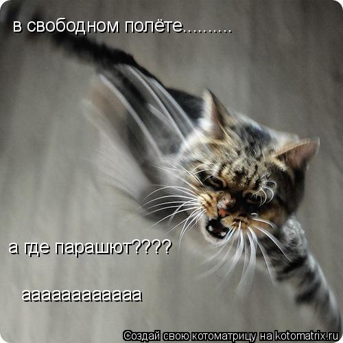 в свободном полёте.......... а где парашют???? аааааааааааа... Котоматрица: в свободном полёте.......... а где парашют???? аааааааааааа