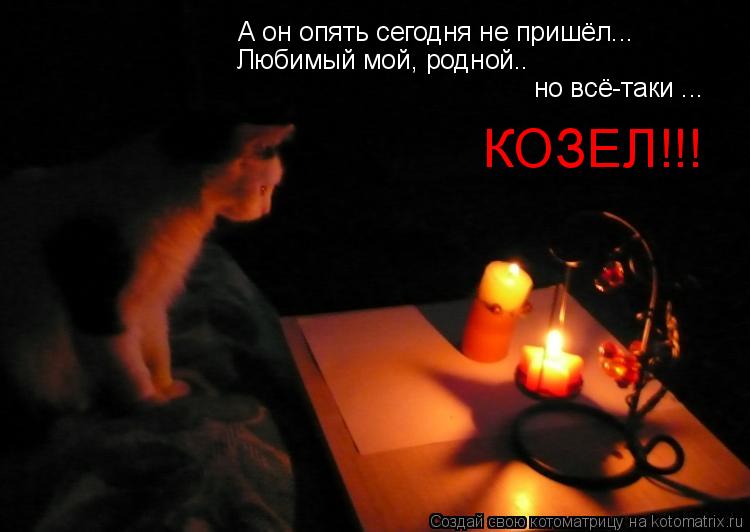 А он опять сегодня не пришёл... Любимый мой, родной.. но всё-таки ... КОЗЕЛ!!!... Котоматрица: А он опять сегодня не пришёл... Любимый мой, родной.. но всё-таки ... КОЗЕЛ!!!