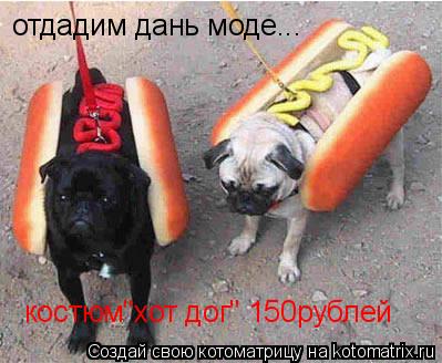 отдадим дань моде... костюм"хот дог" 150рублей... Котоматрица: отдадим дань моде... костюм"хот дог" 150рублей
