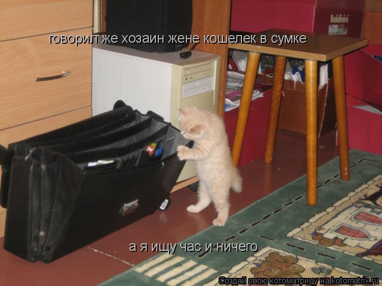 говорил же хозаин жене кошелек в сумке а я ищу час и ничего... Котоматрица: говорил же хозаин жене кошелек в сумке а я ищу час и ничего