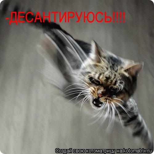 -ДЕСАНТИРУЮСЬ!!!!... Котоматрица: -ДЕСАНТИРУЮСЬ!!!!