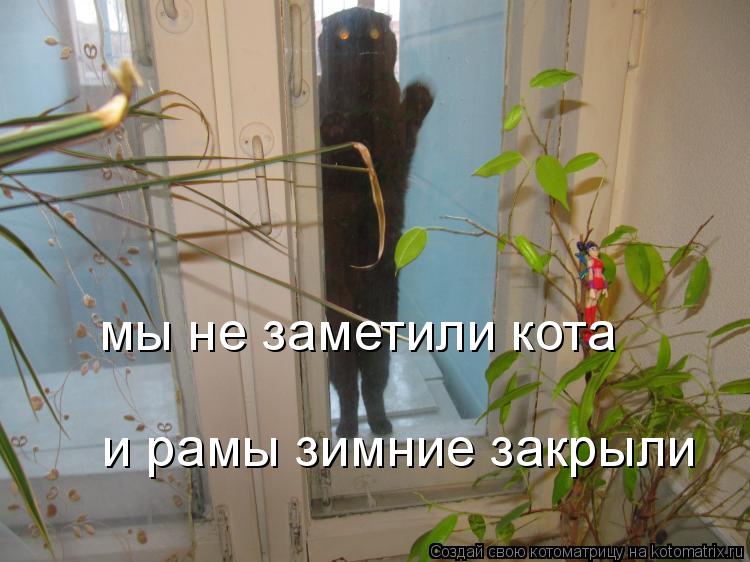 мы не заметили кота и рамы зимние закрыли... Котоматрица: мы не заметили кота и рамы зимние закрыли