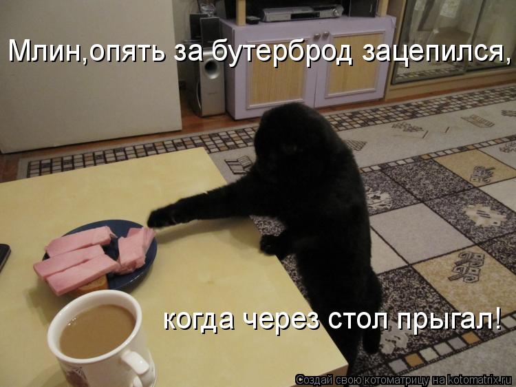 Млин,опять за бутерброд зацепился, когда через стол прыгал!... Котоматрица: Млин,опять за бутерброд зацепился, когда через стол прыгал!