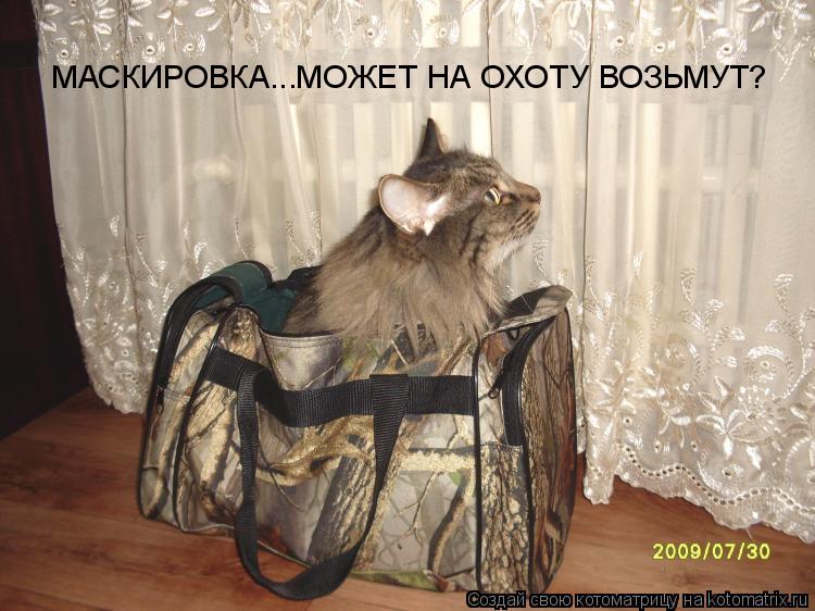МАСКИРОВКА...МОЖЕТ НА ОХОТУ ВОЗЬМУТ?... Котоматрица: МАСКИРОВКА...МОЖЕТ НА ОХОТУ ВОЗЬМУТ?