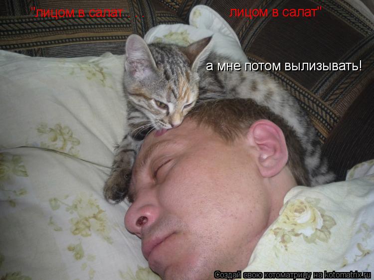 а мне потом вылизывать! лицом в салат" "лицом в салат . . .... Котоматрица: а мне потом вылизывать! лицом в салат" "лицом в салат . . .