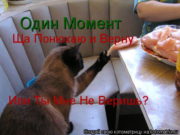 Котоматрица: Один Момент Ща Понюхаю и Верну Или Ты Мне Не Веришь?