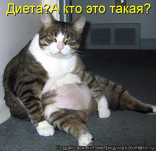 Котоматрица: Диета?А кто это такая?
