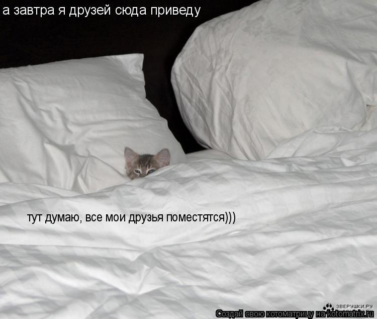 Котоматрица: а завтра я друзей сюда приведу тут думаю, все мои друзья поместятся)))