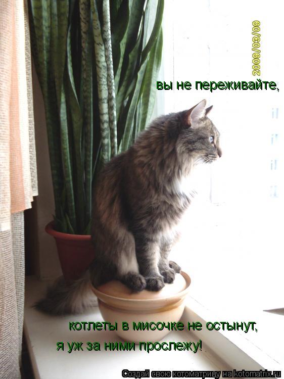 вы не переживайте, котлеты в мисочке не остынут, я уж за ними прослежу!... Котоматрица: вы не переживайте, котлеты в мисочке не остынут, я уж за ними прослежу!