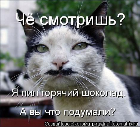 Чё смотришь? Я пил горячий шоколад. А вы что подумали?... Котоматрица: Чё смотришь? Я пил горячий шоколад. А вы что подумали?