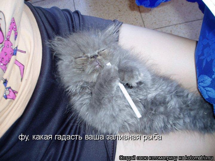 фу, какая гадасть ваша заливная рыба... Котоматрица: фу, какая гадасть ваша заливная рыба