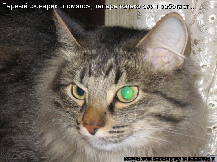 Первый фонарик сломался, теперь только один работает...... Котоматрица: Первый фонарик сломался, теперь только один работает...
