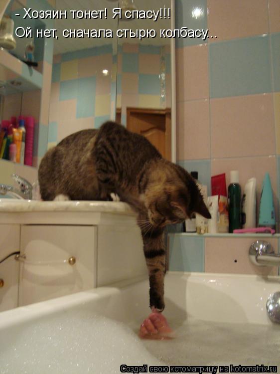 - Хозяин тонет! Я спасу!!! Ой нет, сначала стырю колбасу...... Котоматрица: - Хозяин тонет! Я спасу!!! Ой нет, сначала стырю колбасу...