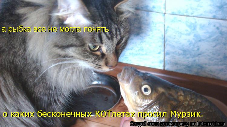 а рыбка все не могла понять о каких бесконечных КОТлетах просил Мурзик.... Котоматрица: а рыбка все не могла понять о каких бесконечных КОТлетах просил Мурзик.