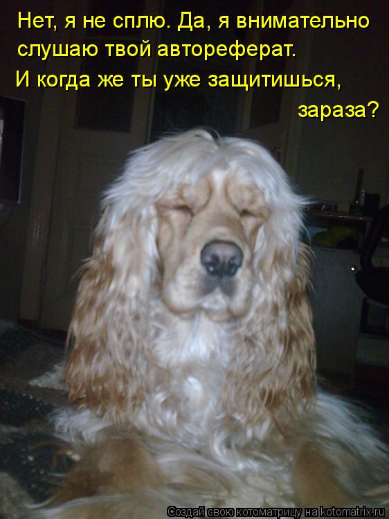 Нет, я не сплю. Да, я внимательно слушаю твой автореферат. И когда же ты уже защитишься, зараза?... Котоматрица: Нет, я не сплю. Да, я внимательно слушаю твой автореферат. И когда же ты уже защитишься, зараза?