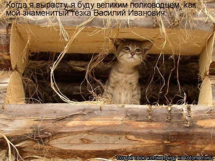 Когда я вырасту, я буду великим полководцем, как мой знаменитый тёзка Василий Иванович.... Котоматрица: Когда я вырасту, я буду великим полководцем, как мой знаменитый тёзка Василий Иванович.
