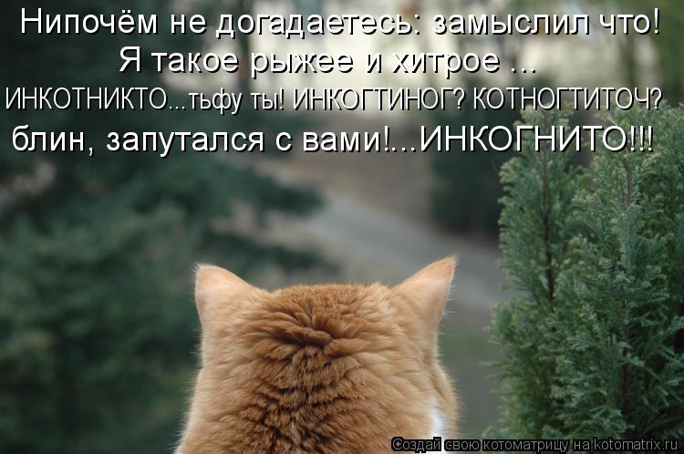 Нипочём не догадаетесь: замыслил что! Я такое рыжее и хитрое ... ИНКОТНИКТО...тьфу ты! ИНКОГТИНОГ? КО... Котоматрица: Нипочём не догадаетесь: замыслил что! Я такое рыжее и хитрое ... ИНКОТНИКТО...тьфу ты! ИНКОГТИНОГ? КОТНОГТИТОЧ? блин, запутался с вами!...ИНКОГН