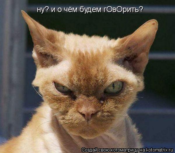 ну? и о чём будем гОвОрить?... Котоматрица: ну? и о чём будем гОвОрить?