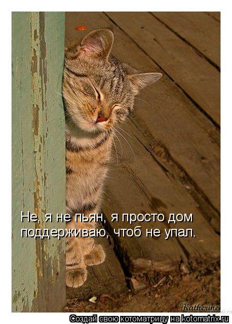 Не, я не пьян, я просто дом поддерживаю, чтоб не упал.... Котоматрица: Не, я не пьян, я просто дом поддерживаю, чтоб не упал.