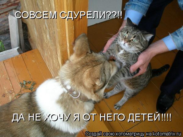 ДА НЕ ХОЧУ Я ОТ НЕГО ДЕТЕЙ!!!! СОВСЕМ СДУРЕЛИ??!!... Котоматрица: ДА НЕ ХОЧУ Я ОТ НЕГО ДЕТЕЙ!!!! СОВСЕМ СДУРЕЛИ??!!