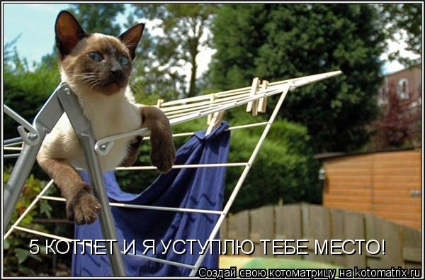 5 КОТЛЕТ И Я УСТУПЛЮ ТЕБЕ МЕСТО!... Котоматрица: 5 КОТЛЕТ И Я УСТУПЛЮ ТЕБЕ МЕСТО!