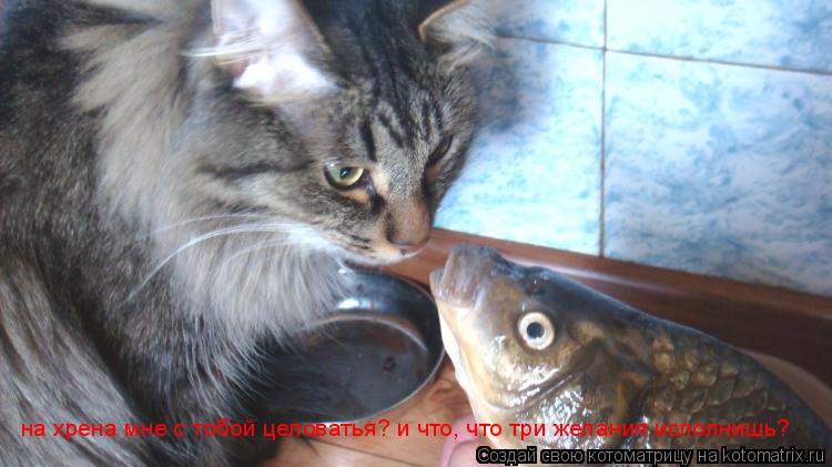 на хрена мне с тобой целоватья? и что, что три желания исполнишь?... Котоматрица: на хрена мне с тобой целоватья? и что, что три желания исполнишь?