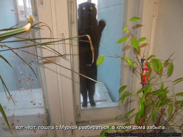 вот чёрт. пошла с Муркой разбираться, а ключи дома забыла...... Котоматрица: вот чёрт. пошла с Муркой разбираться, а ключи дома забыла...