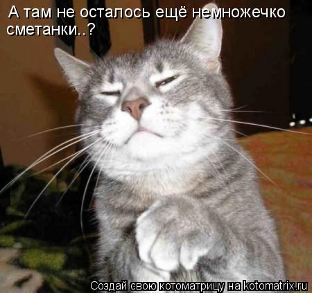 А там не осталось ещё немножечко сметанки..?... Котоматрица: А там не осталось ещё немножечко сметанки..?