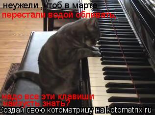 неужели ,чтоб в марте перестали водой обливать, надо все эти клавиши наизусть знать?... Котоматрица: неужели ,чтоб в марте перестали водой обливать, надо все эти клавиши наизусть знать?