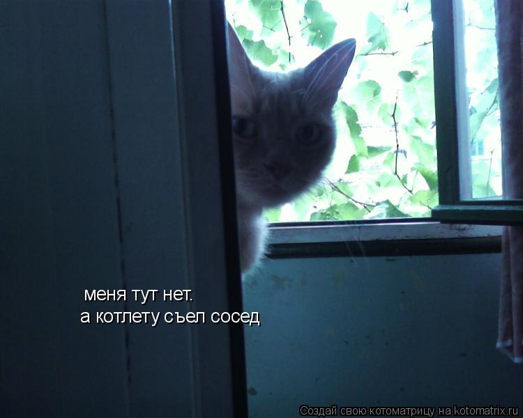 меня тут нет. а котлету съел сосед... Котоматрица: меня тут нет. а котлету съел сосед