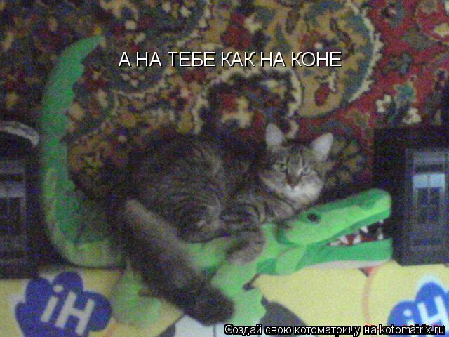 А НА ТЕБЕ КАК НА КОНЕ... Котоматрица: А НА ТЕБЕ КАК НА КОНЕ