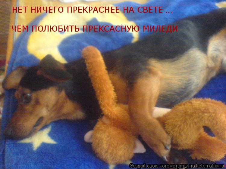 НЕТ НИЧЕГО ПРЕКРАСНЕЕ НА СВЕТЕ ЧЕМ ПОЛЮБИТЬ ПРЕКСАСНУЮ МИЛЕДИ ...... Котоматрица: НЕТ НИЧЕГО ПРЕКРАСНЕЕ НА СВЕТЕ ЧЕМ ПОЛЮБИТЬ ПРЕКСАСНУЮ МИЛЕДИ ...