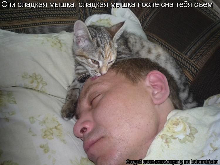 Спи сладкая мышка, сладкая мышка после сна тебя съем... Котоматрица: Спи сладкая мышка, сладкая мышка после сна тебя съем