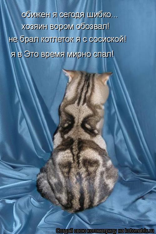 обижен я сегодя шибко... хозяин вором обозвал! не брал котлеток я с сосиской! я в Это время мирно спа... Котоматрица: обижен я сегодя шибко... хозяин вором обозвал! не брал котлеток я с сосиской! я в Это время мирно спал!