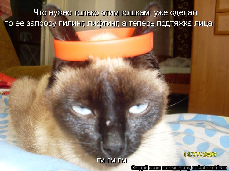Что нужно только этим кошкам, уже сделал по ее запросу пилинг, лифтинг, а теперь подтяжка лица гм гм... Котоматрица: Что нужно только этим кошкам, уже сделал по ее запросу пилинг, лифтинг, а теперь подтяжка лица гм гм гм