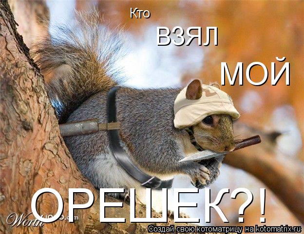 ОРЕШЕК?! Кто ВЗЯЛ МОЙ... Котоматрица: ОРЕШЕК?! Кто ВЗЯЛ МОЙ
