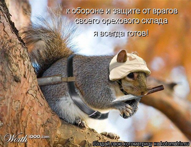 к обороне и защите от врагов своего орехового склада я всегда готов!... Котоматрица: к обороне и защите от врагов своего орехового склада я всегда готов!